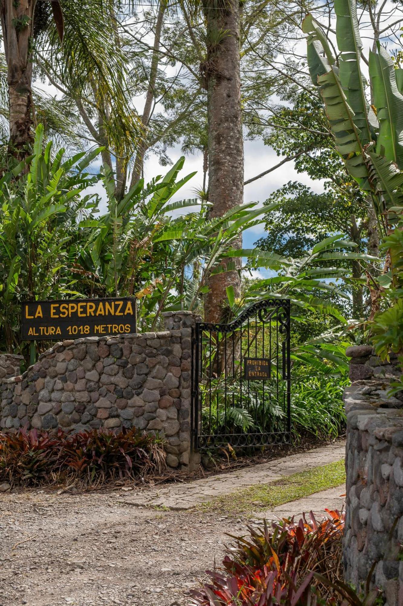 Bed and Breakfast Aquiares Coffee Farm Casa Hacienda La Esperanza Turrialba Exteriér fotografie