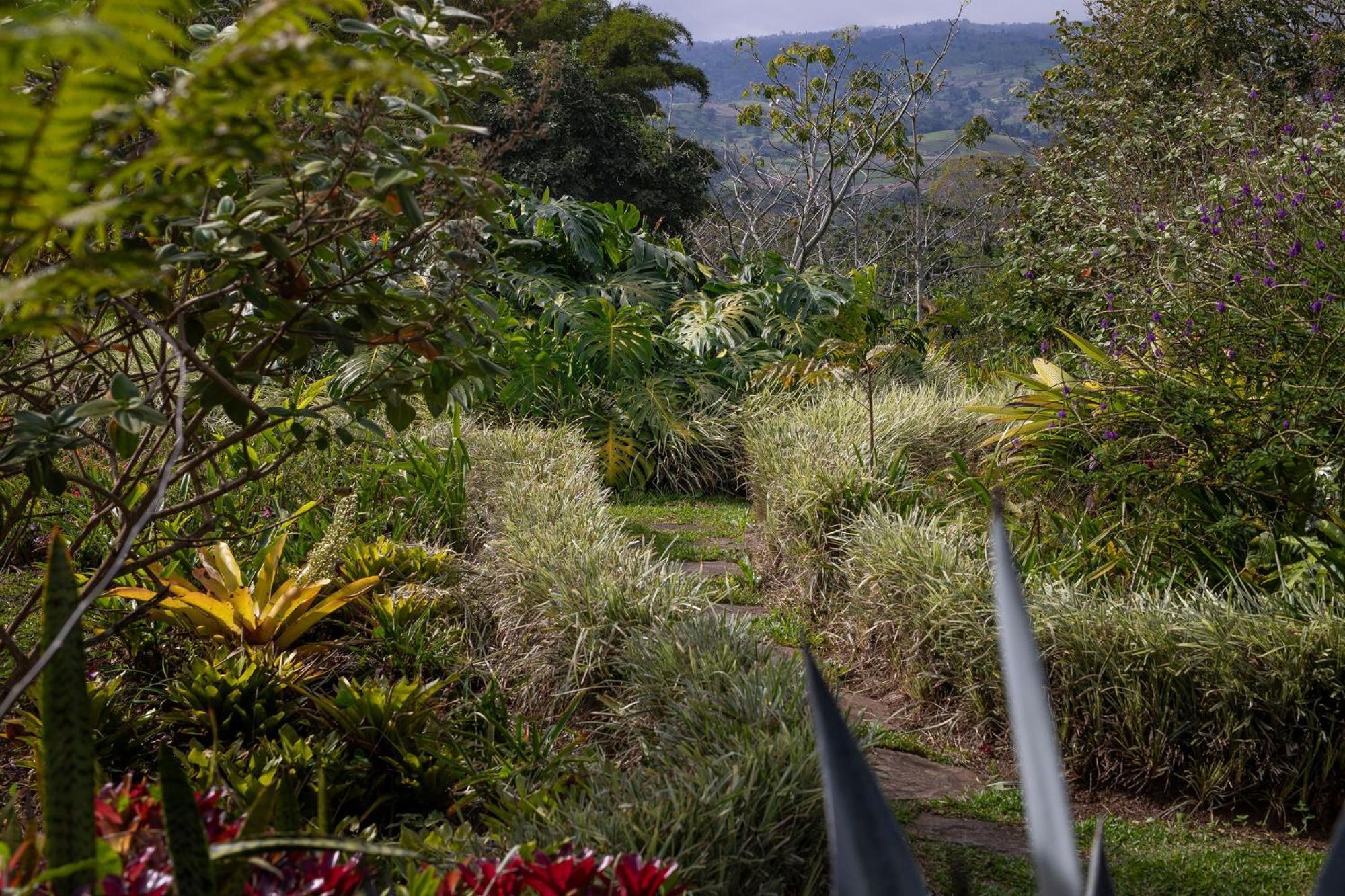 Bed and Breakfast Aquiares Coffee Farm Casa Hacienda La Esperanza Turrialba Exteriér fotografie
