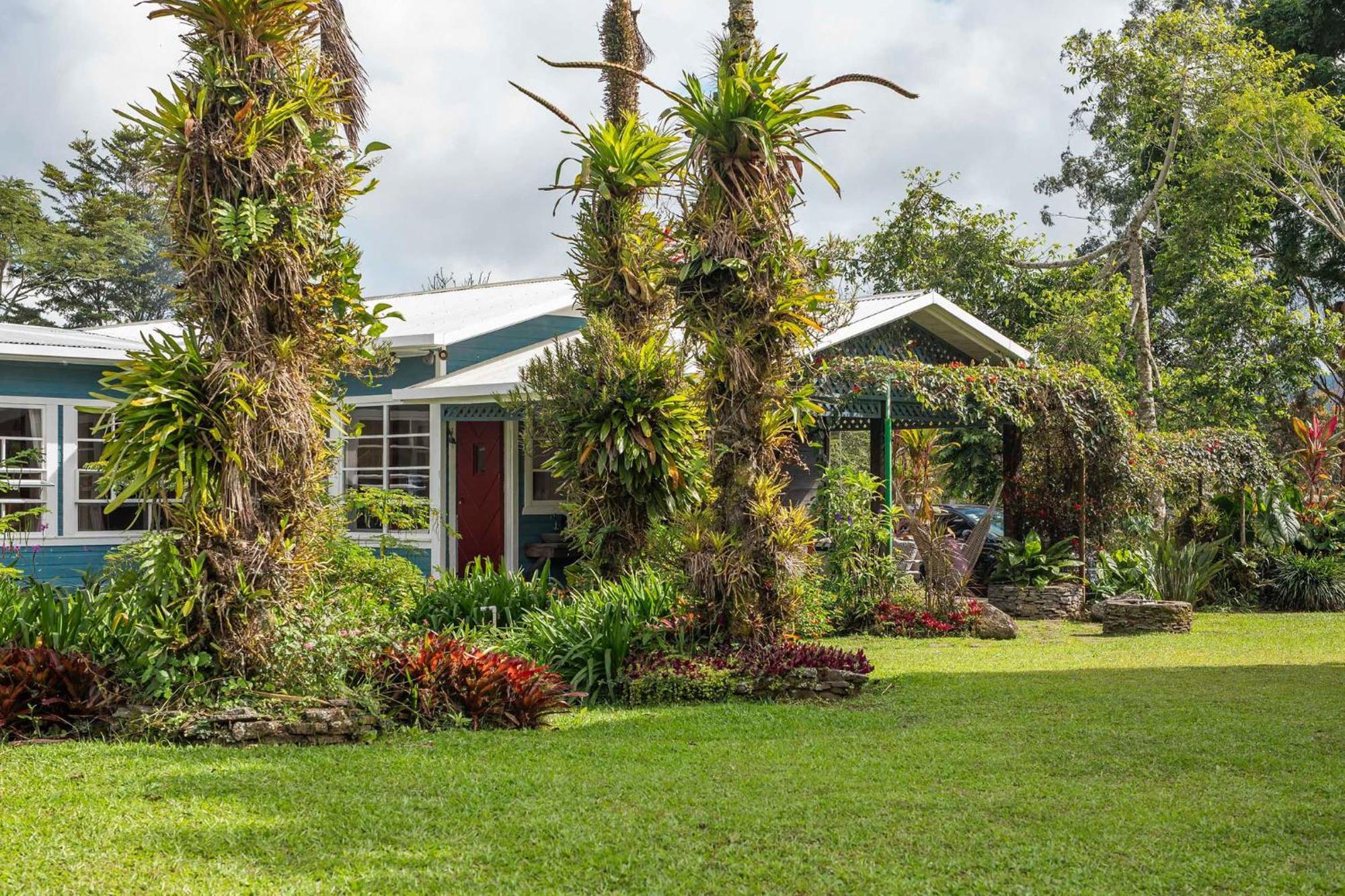 Bed and Breakfast Aquiares Coffee Farm Casa Hacienda La Esperanza Turrialba Exteriér fotografie