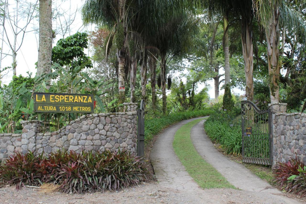 Bed and Breakfast Aquiares Coffee Farm Casa Hacienda La Esperanza Turrialba Exteriér fotografie